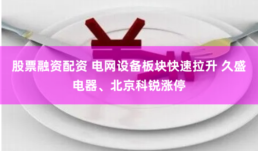 股票融资配资 电网设备板块快速拉升 久盛电器、北京科锐涨停