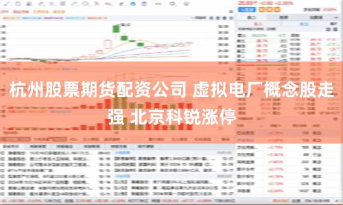 杭州股票期货配资公司 虚拟电厂概念股走强 北京科锐涨停