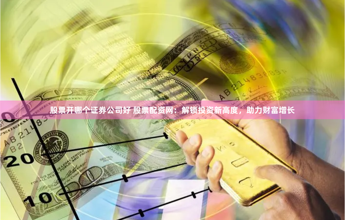 股票开哪个证券公司好 股票配资网：解锁投资新高度，助力财富增长